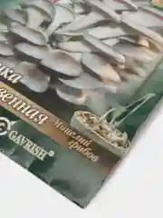 Грибы Вешенка обыкновенная "семена"