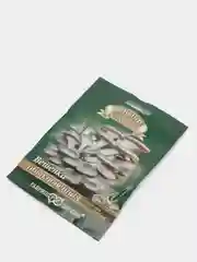 Грибы Вешенка обыкновенная "семена"
