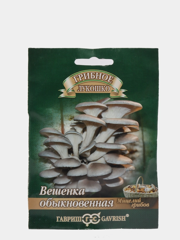 Грибы Вешенка обыкновенная "семена"