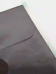 Зеленый обложка на паспорт