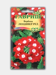 Вербена Люцифер Ред, семена