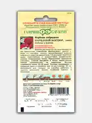 Вербена Нарядный бордюр (семена)
