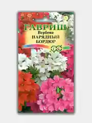 Вербена Нарядный бордюр (семена)