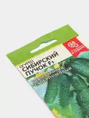 Семена огурца "Сибирский Пучок", F1, 5 штук