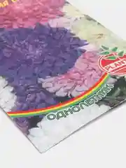Семена цветов Астра "Пионовидная смесь", 0,2 г (3975924)