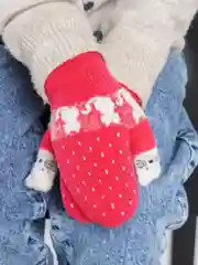 Коралловый варежки детские с мехом внутри для мальчика / девочки