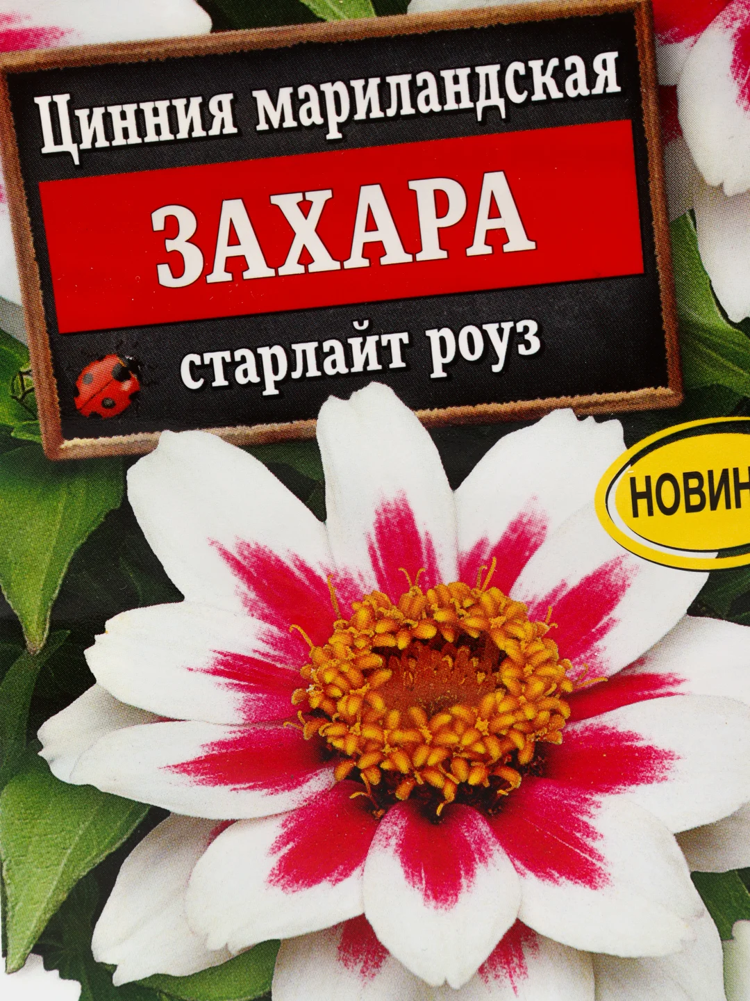 Семена цветы "Цинния Захара старлайт роуз"