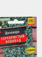 Дихондра Серебристый водопад (семена,цветы)