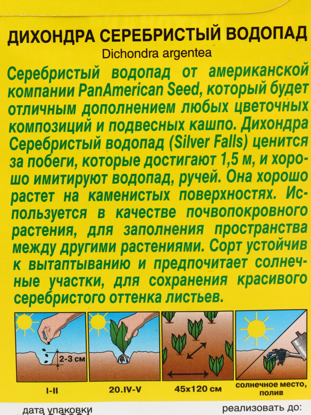 Дихондра Серебристый водопад (семена,цветы)