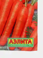 Морковь Рогнеда, семена