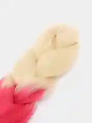 Фуксия канекалон двухцветный