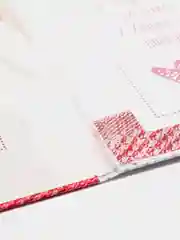 Папка для свидетельства о рождении Скетч, для девочки, под новый формат, А4, 32 х 22.3 см