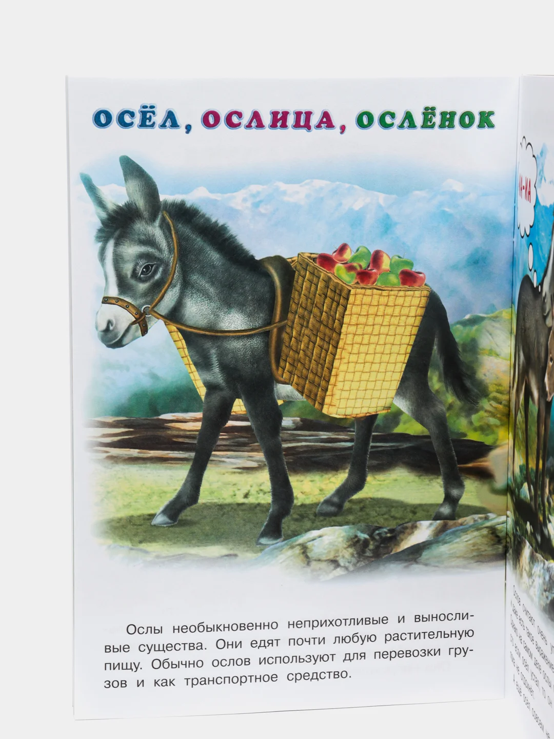 Первый учебник малыша "Домашние животные"