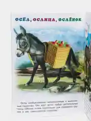 Первый учебник малыша "Домашние животные"