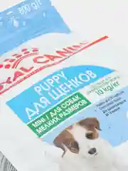 Корм Royal Canin для щенков малых пород: 2-10 мес. , Mini Puppy 800гр
