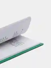 Первая после Букваря книга для чтения, Надежда Жукова
