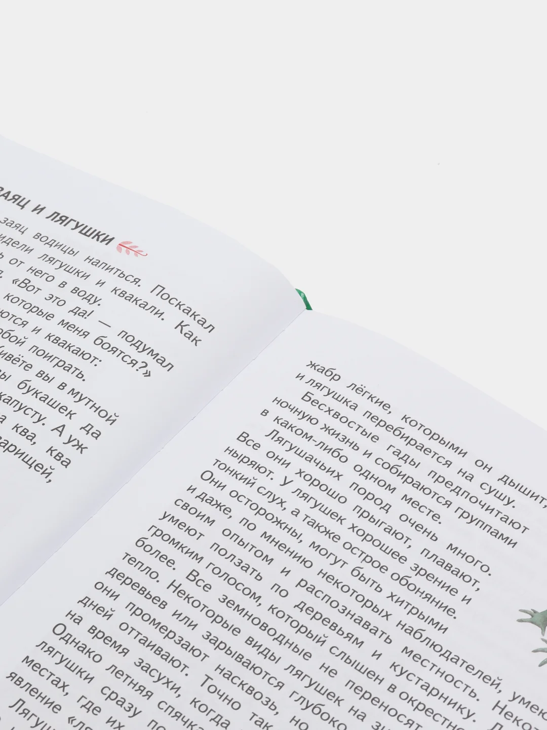 Первая после Букваря книга для чтения, Надежда Жукова