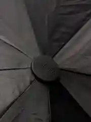 Зонт