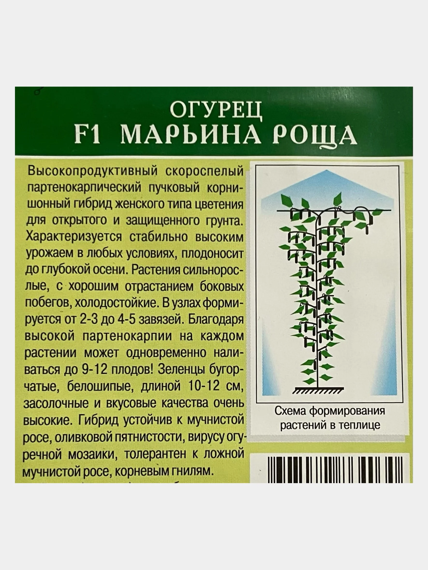 Семена Огурец "Марьина роща"