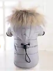 Красный куртка с капюшоном, для собак, зимняя