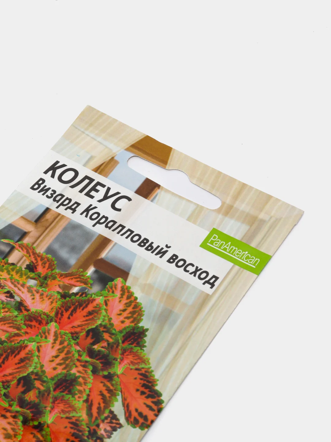 Семена комнатных цветов Колеус "Визард. Коралловый Восход", Мн, цп, 10 шт