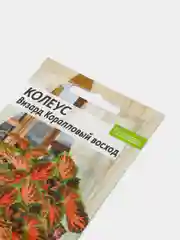 Семена комнатных цветов Колеус "Визард. Коралловый Восход", Мн, цп, 10 шт