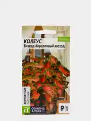 Семена комнатных цветов Колеус "Визард. Коралловый Восход", Мн, цп, 10 шт