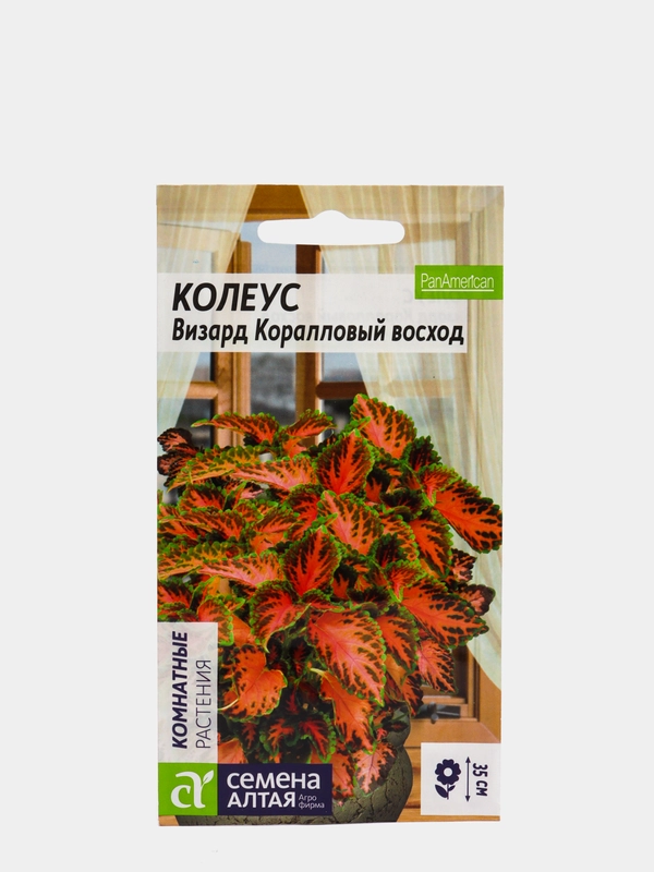 Семена комнатных цветов Колеус "Визард. Коралловый Восход", Мн, цп, 10 шт