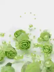 Зеленый бусины с розами на нитке для рукоделия