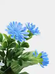 Синий хризантемы, пластиковый букет