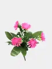 Розовый хризантемы, пластиковый букет