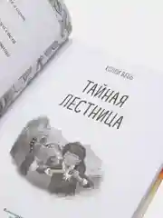Тайная лестница (выпуск 3), Холли Вебб