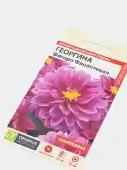 Семена цветов Георгина "Фигаро", фиолетовая, махровая, Семена Алтая, 5 шт