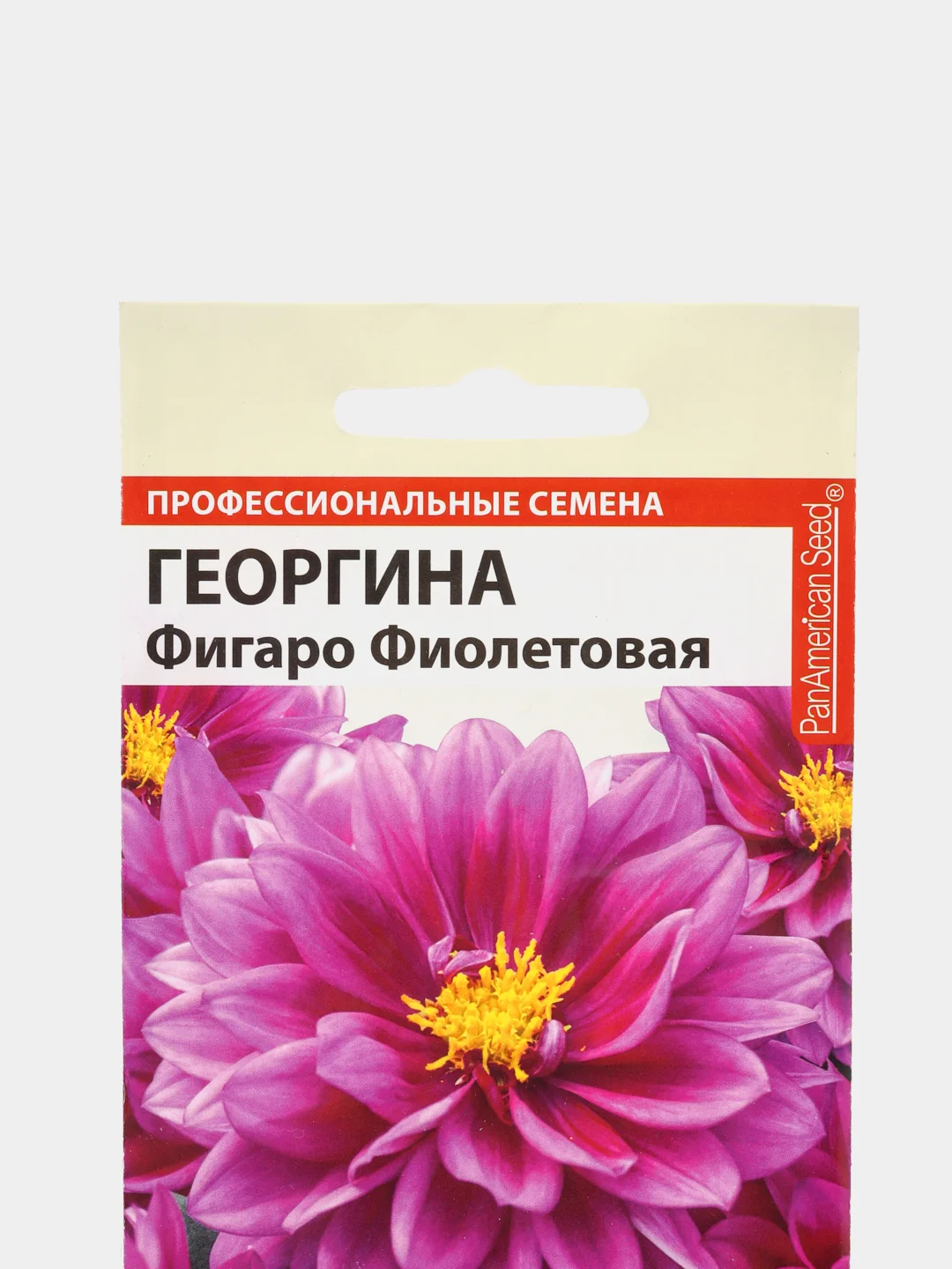 Семена цветов Георгина "Фигаро", фиолетовая, махровая, Семена Алтая, 5 шт