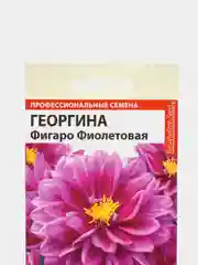 Семена цветов Георгина "Фигаро", фиолетовая, махровая, Семена Алтая, 5 шт