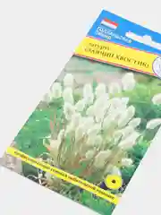 Семена цветов "Лагурус (заячий хвостик)", О, 10 штук