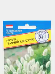 Семена цветов "Лагурус (заячий хвостик)", О, 10 штук