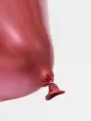Розовый шар Хром 5 штук, 12 дюймов