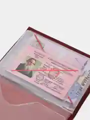Багровый обложка для автодокументов