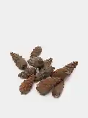Наполнитель кусочки мишуры и шишки сосновые