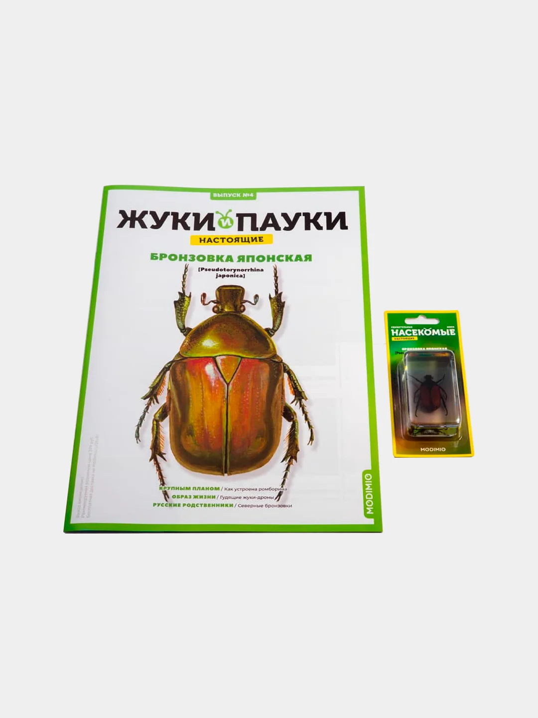Развивающий журнал "Жуки и Пауки. Бронзовка японская", выпуск №4