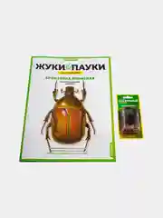 Развивающий журнал "Жуки и Пауки. Бронзовка японская", выпуск №4