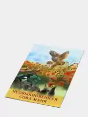 Учимся читать сами Гурина И.В. Необыкновенная сова Маня