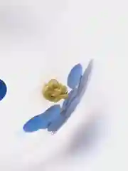 Синий воздушные шары с конфетти, 3 штуки
