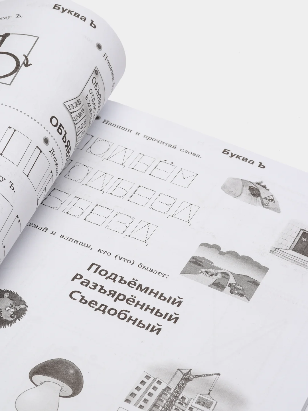 Большие логопедические прописи, Жукова Олеся Станиславовна