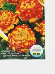 Семена цветов однолетние Бархатцы "Болеро", отклонённые, махровые, 0,25 г