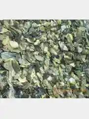 Зелёный хаки мраморная крошка, не галтованная