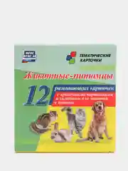 Животные-питомцы: 12 карточек с красочными картинками и загадками для занятий с детьми