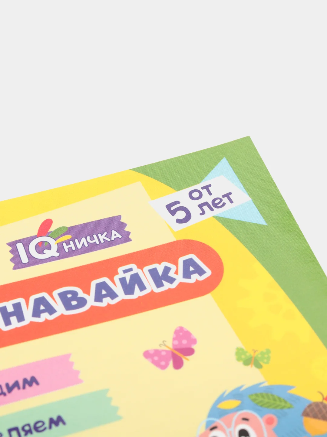Блокнот с заданиями IQничка. "Узнавайка". Более 50 игровых заданий. От 5 лет