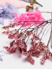 Розовый сухоцветы в коробе, 17 х 12 х 3 см